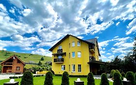 Arnica